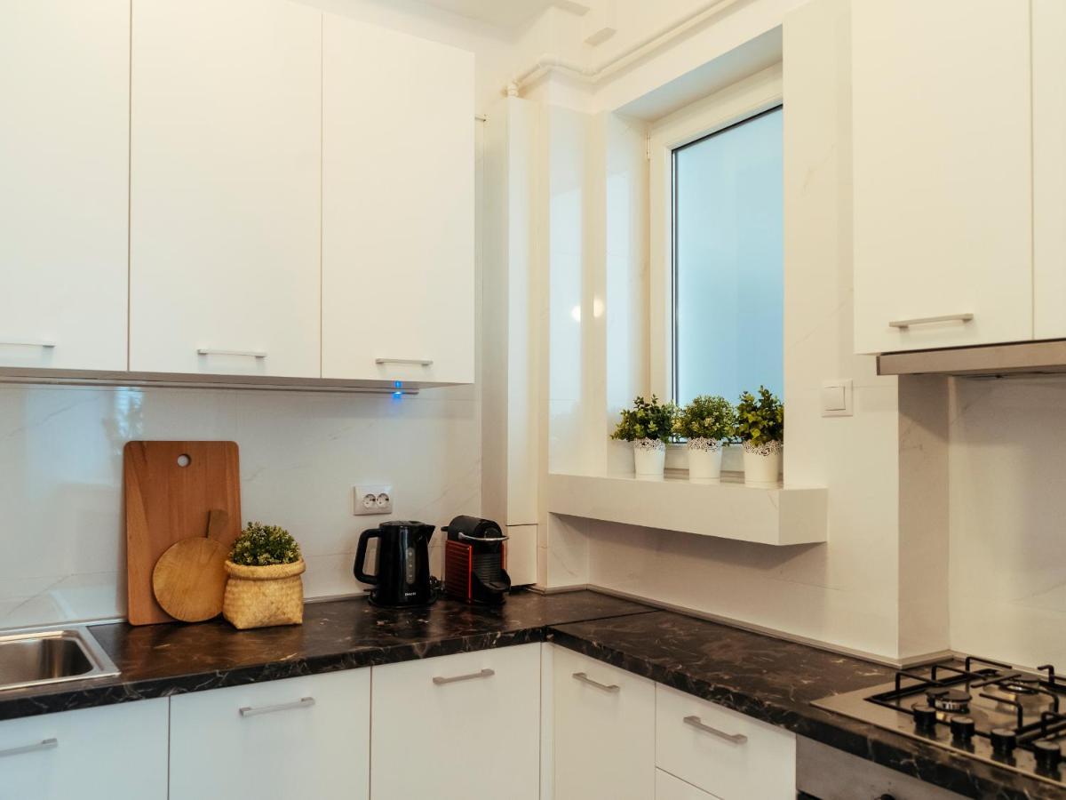 Alba Apartment On Calea Victoriei Бухарест Екстер'єр фото